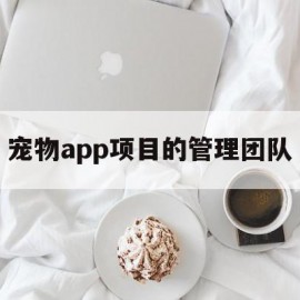 关于宠物app项目的管理团队的信息