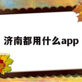 济南都用什么app(济南现在都用什么软件打车)