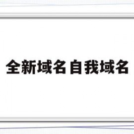 全新域名自我域名(全新域名自我域名什么意思)