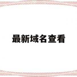 最新域名查看(查最新域名的工具)