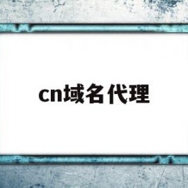 cn域名代理(域名代理服务器)