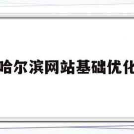 哈尔滨网站基础优化(哈尔滨seo排名优化公司价格)