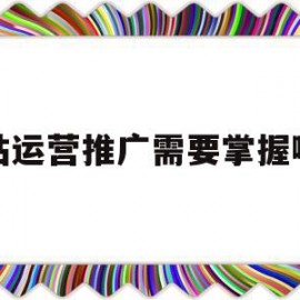 网站运营推广需要掌握哪些(网站运营推广主要做什么的)