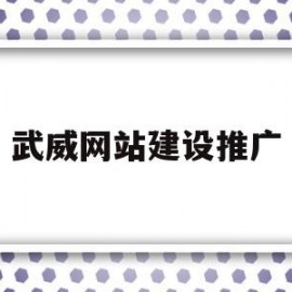 武威网站建设推广(武威网站建设推广公司)