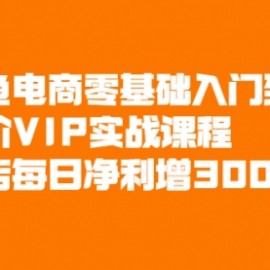 闲鱼电商零基础入门到进阶VIP实战课程，单店每日净利增300+