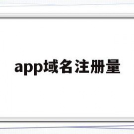 app域名注册量(app域名在哪里注册)