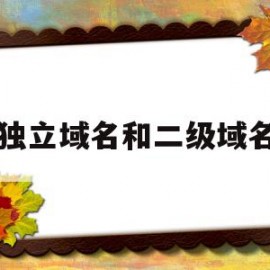 独立域名和二级域名(独立的域名)