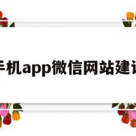 手机app微信网站建设(手机app微信网站建设在哪里)