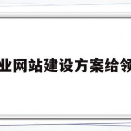 企业网站建设方案给领导(企业网站建设方案给领导的建议)