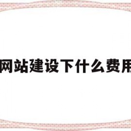 网站建设下什么费用(网站建设费用的会计分录)