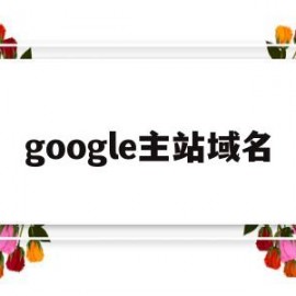 google主站域名(google域名服务器地址)