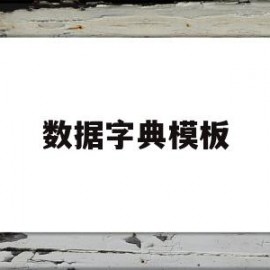 数据字典模板(数据字典在线)