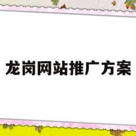 龙岗网站推广方案(龙岗网络推广方式)