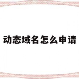 动态域名怎么申请(动态域名怎么申请ssl证书的)