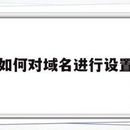 如何对域名进行设置的简单介绍