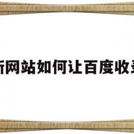 新网站如何让百度收录(新站如何让百度快速收录)