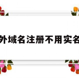 国外域名注册不用实名的(阿里云域名注册实名怎么弄)