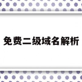免费二级域名解析(免费二级域名解析平台)