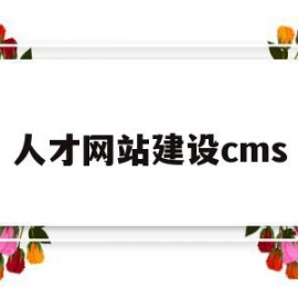 人才网站建设cms(人才网站建设需求有哪些)