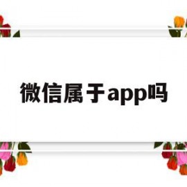 微信属于app吗(微信属于什么软件范畴)