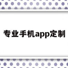专业手机app定制(定制一款app)