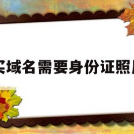 买域名需要身份证照片(域名注册商要我的身份证照片)
