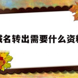域名转出需要什么资料(域名转出会对网站访问有影响吗)