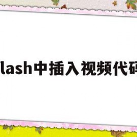 flash中插入视频代码(flash加代码)