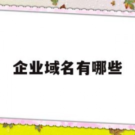 企业域名有哪些(企业域名怎么设置)