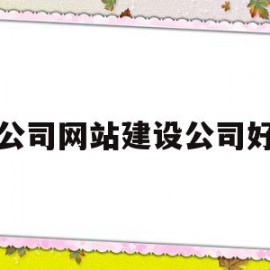 公司网站建设公司好(网站建设公司企业网站)