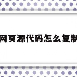 网页源代码怎么复制(网页源代码怎么复制出来)
