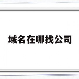 域名在哪找公司(域名公司是怎么做的)