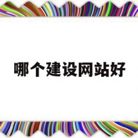哪个建设网站好(建设什么网站可以赚钱)