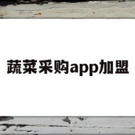 蔬菜采购app加盟(蔬菜采购app哪个好)