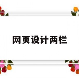 网页设计两栏(网页设计两栏内容)