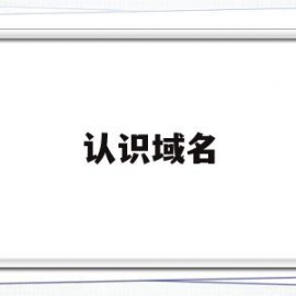 认识域名(域名的认识)