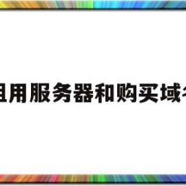 租用服务器和购买域名(租用服务器和购买域名哪个好)