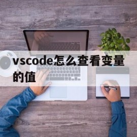 vscode怎么查看变量的值(vscode 变量查看器)