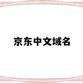 京东中文域名(京东的域名的特点和含义)