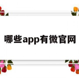 哪些app有微官网(哪个平台可设置微官网)