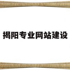 揭阳专业网站建设(揭阳网站快速优化排名)