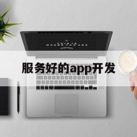 服务好的app开发(app开发平台软件)