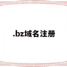 .bz域名注册(域名注册∫godaddy)