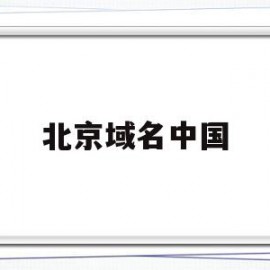 北京域名中国(北京新网域名)