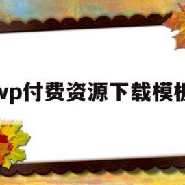 wp付费资源下载模板的简单介绍