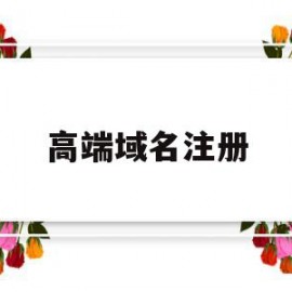 高端域名注册(阿里云域名注册)