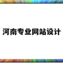 河南专业网站设计(河南网站建设设计价格)