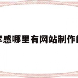 孝感哪里有网站制作的(孝感哪里有网站制作的地方)