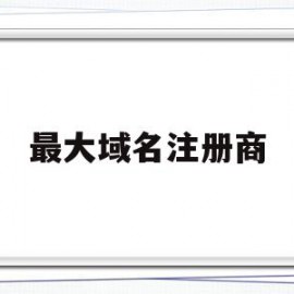 最大域名注册商(世界最大的域名注册商排名)