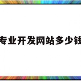 专业开发网站多少钱(开发一个网站要多少钱)